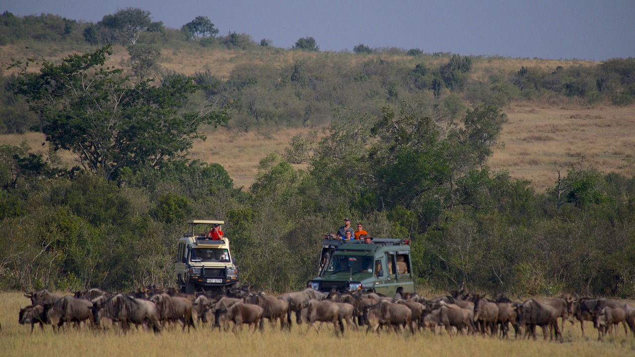 Best Budget Safari Tours in Tanzania 2025, Affordable Group Joining Safari in Tanzania