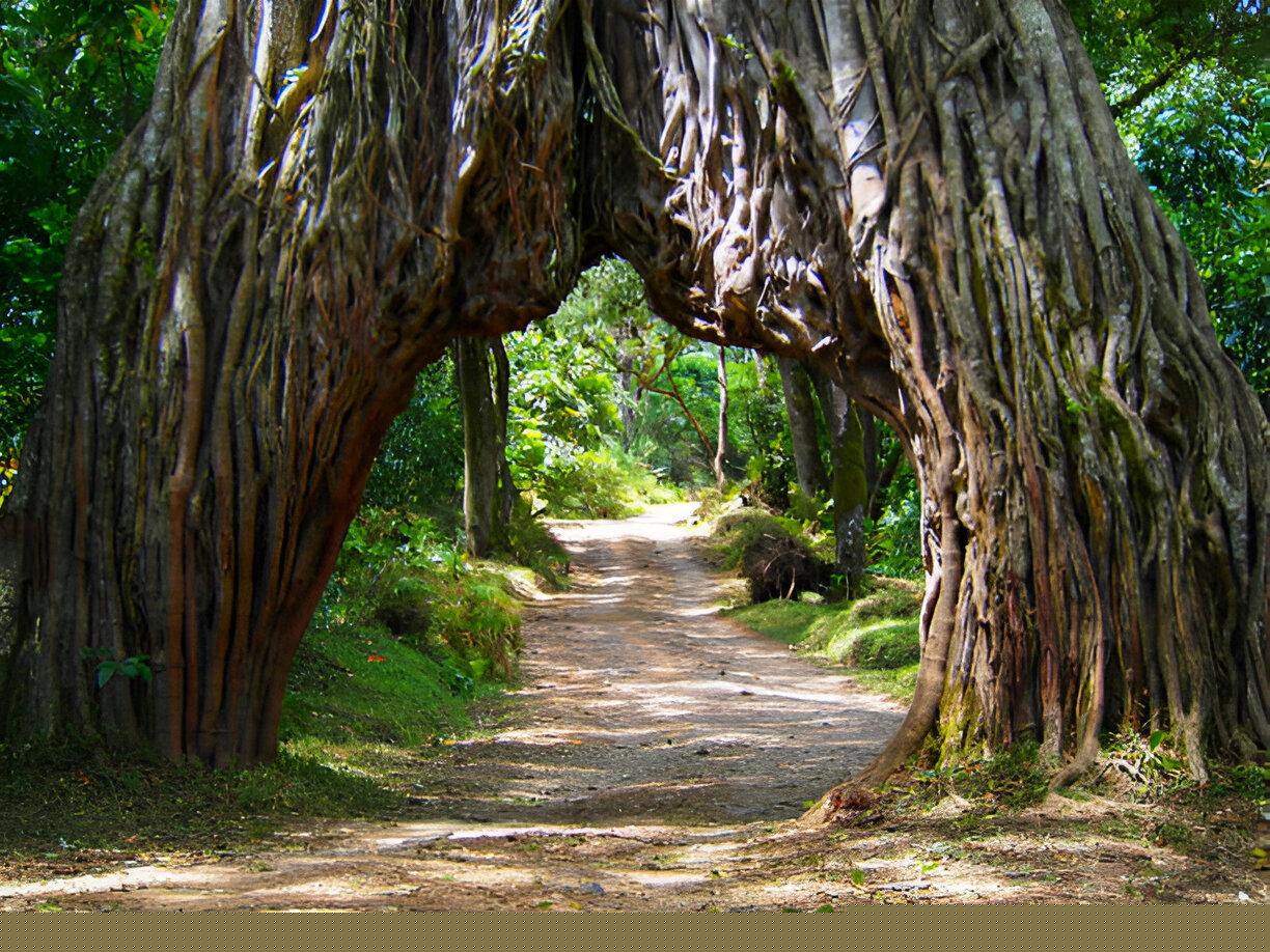 Tanzania Wellness Safari with Yoga and Nature