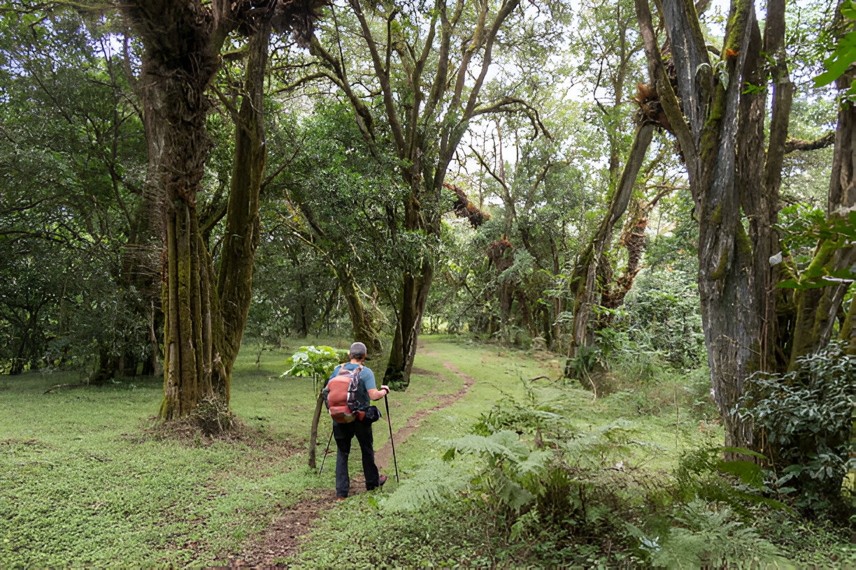 Best Time of Year to Climb Kilimanjaro