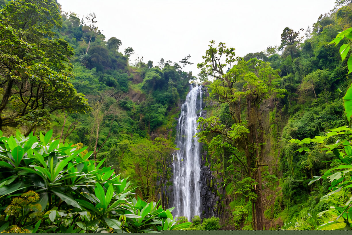 Best Tanzania Holiday Safari Package