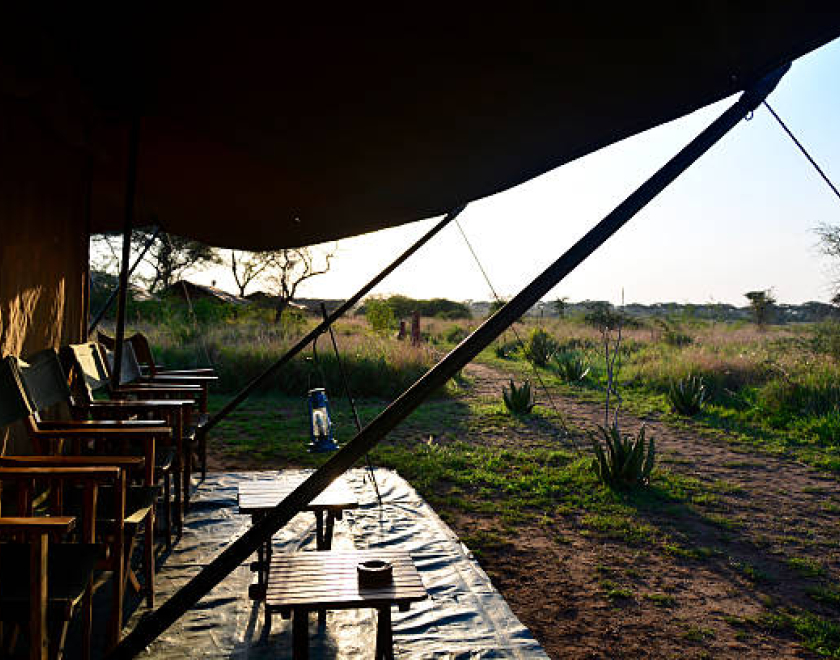 3 Days Tanzania Safari to Tarangire, Ngorongoro, and Lake Manyara, Wildlife-Packed Trip, Is It Safe to Eat Street Food in Tanzania?