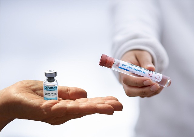 Do I Need Vaccinations or Malaria Prophylaxis? A Complete Guide for Travelers to Tanzania