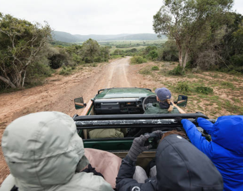 Are Walking and Balloon Safaris Available? Your Complete Safari