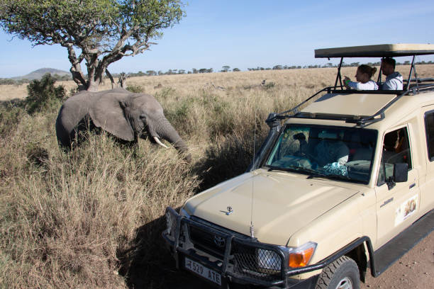Do All Tanzanian Parks Require Guides? – Complete Guide