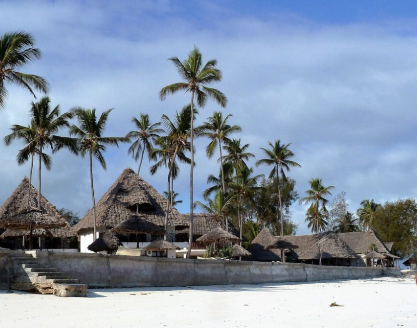Can I Walk Near Wildlife in Tanzania? – Complete Guide