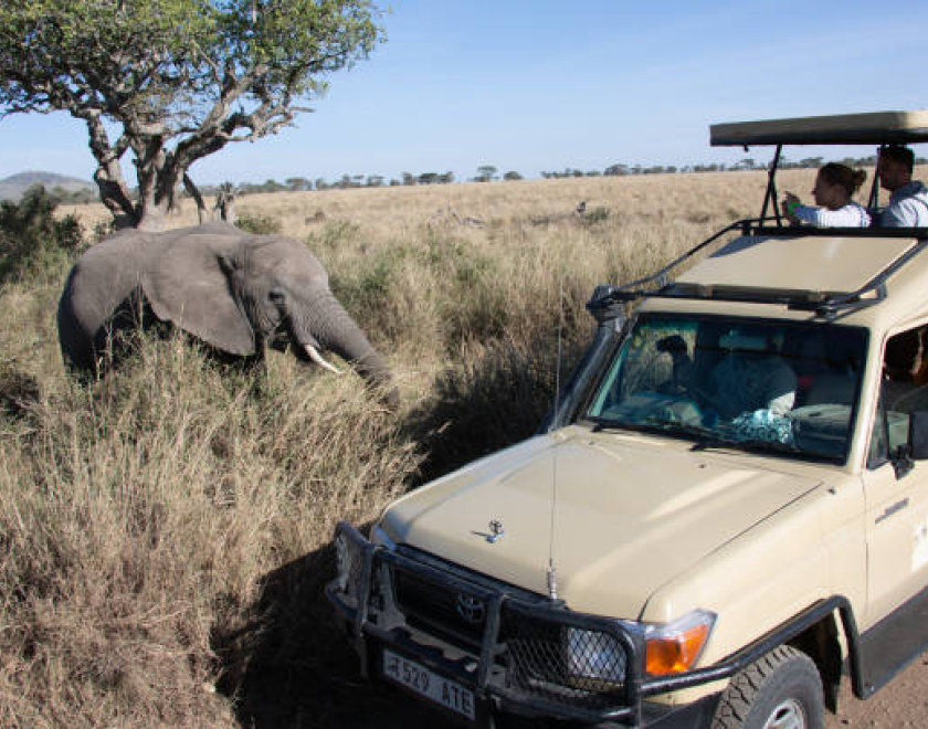 Do Cultural Tours Include Village Visits? – Complete Tanzania Guide