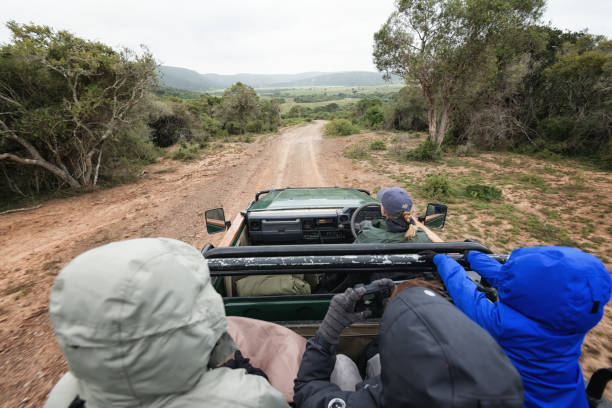 Are Safari Operators Eco-Friendly? Everything You Need to Know