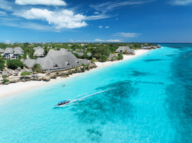 Can I See Marine Wildlife in Zanzibar? – Complete Guide
