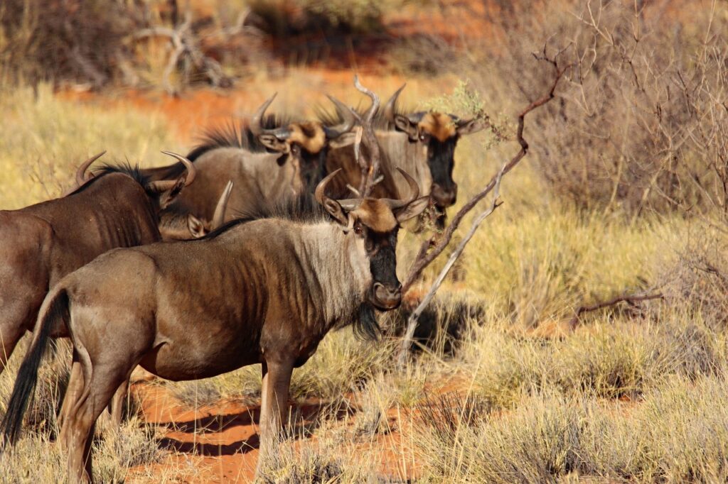Great Migration