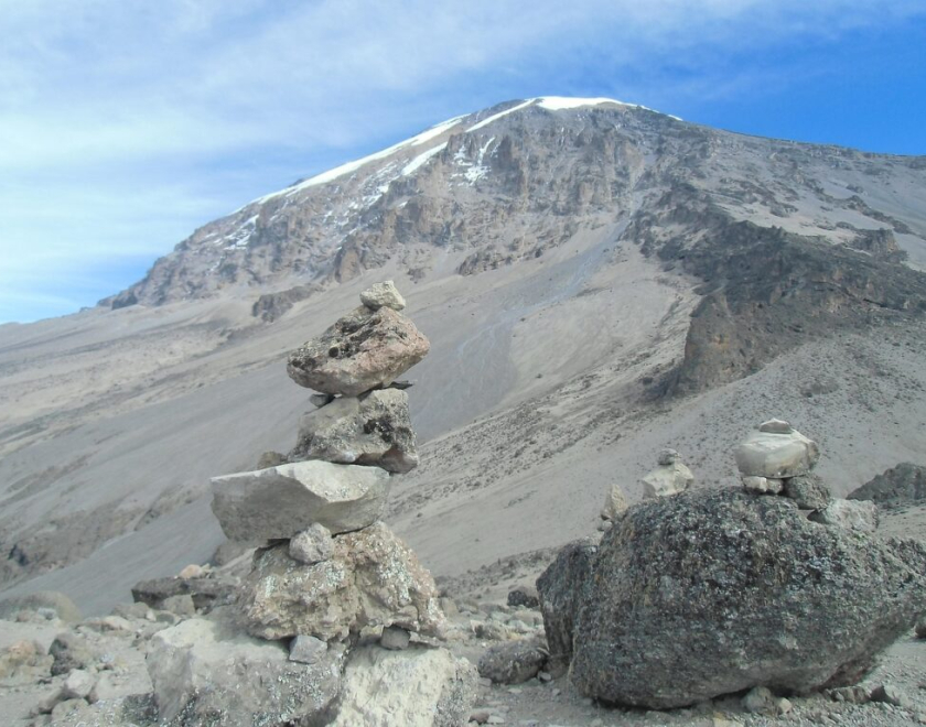 Tanzania Safari + Kilimanjaro Trekking, Which Is Best?