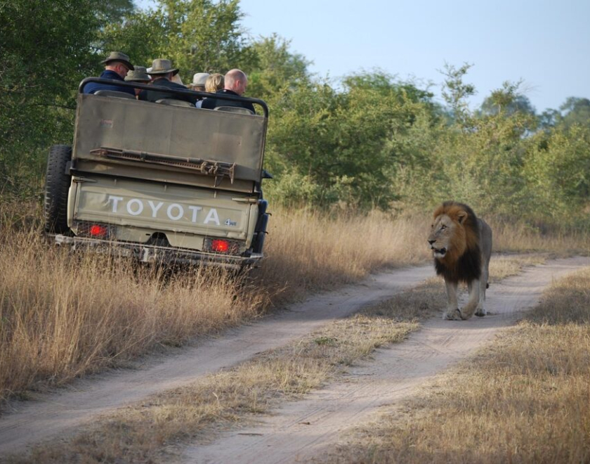 What is the best time of year to go on safari in Tanzania?