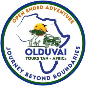 Olduvai tour logo